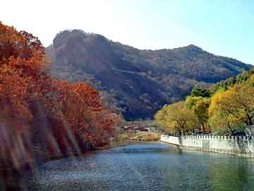 新澳天天开奖资料大全旅游团，马山seo培训